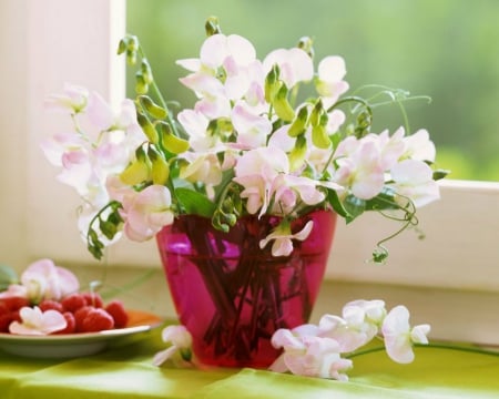 Beautiful Flowers - white, flowers, bloom, vase