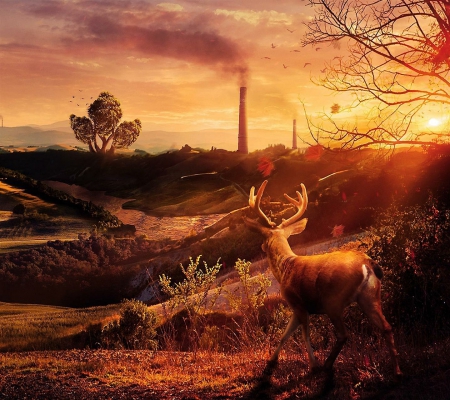 The Deer - nature, smoke, chimney, deer