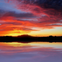 Rosy Sunset Reflection