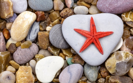 Starfish and stones - white, red, summer, rock, starfish, beach, stone