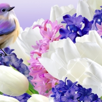 Spring Flowers and Bird