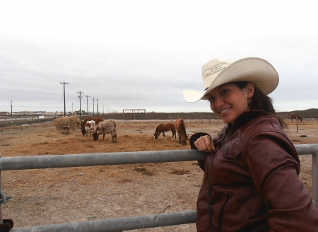 Watching The Herd - style, girls, western, women, cows, models, hats, ranch, cowgirls, herd, brunettes, fun, female