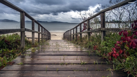 Bridge to The Beach - BRIDGE, FLOWER, SAND, SALTY, BEACH, FRESH, AIR, WOOD, DOCK