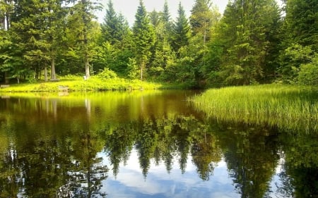 Lovely lake - summer, sky, lake, tree, nature