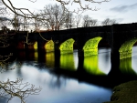 Mossy bridge