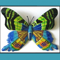 Green-Blue Butterfly