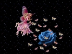 Pink Fairy & Blue Roses