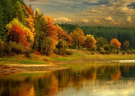 Autumn Colors - autumn, forest, trees, river