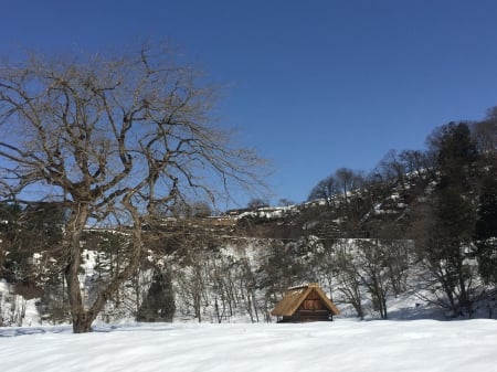 Cabins on the snow - snow, forest, tree, cabin