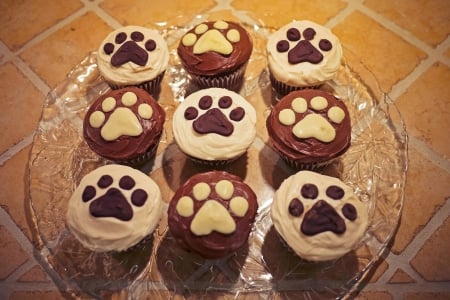 Pup cakes Cup cakes - fun, entertainment, yummy, cool, cup cakes, food