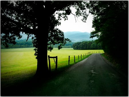 Cades Cove - path, cove, cades