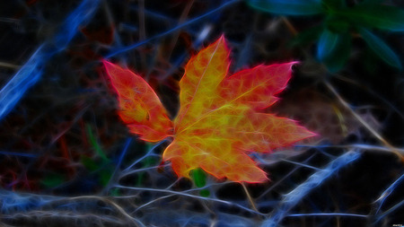 Red Leaf - leaf, nature