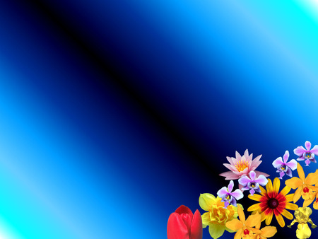 Brighten my day - flowers, light blue, blue