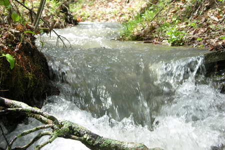 My Little Creek or Stream - out doors, nature