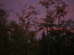 Purple Sunset over Camano Island