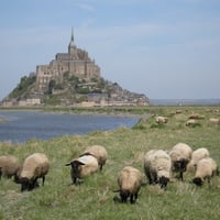 Mont Saint Michel