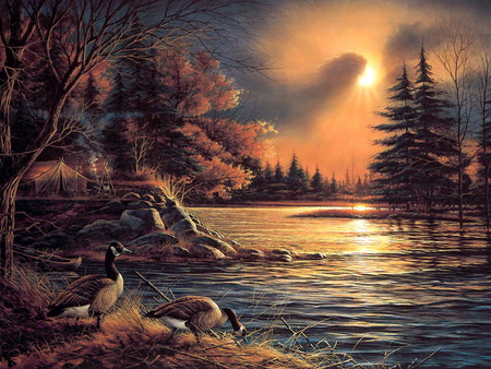 migration - lac, ducks, art work, beautiful