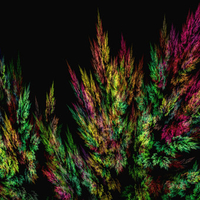 Colors ferns