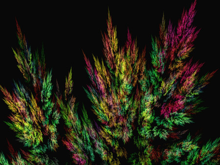 Colors ferns - fractal, colors