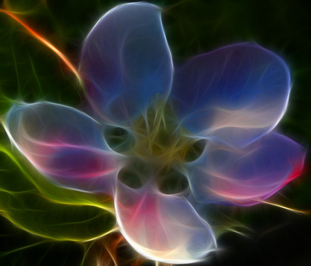 Flower - flowers, fractal