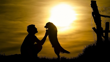 Sunset - landscape, dog, Sunset, man