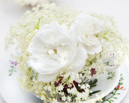 Beautiful Flowers - bloom, flowers, plate, white