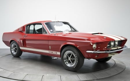 Shelby Mustang GT 500 - shelby, gt 500, ford, cool, car, fun, mustang