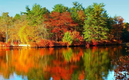 Colorful Trees - nature, sky, fall, autumn, trees, river