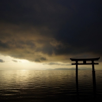 Torii Gate