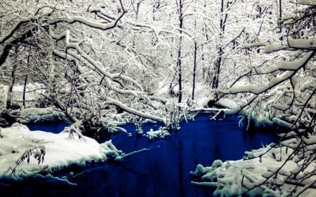 deep blue lake - lake, tree, winter, snow