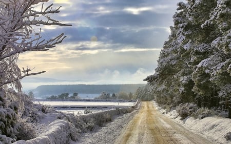 snowy country road - fence, snow, winter, tree, road, country