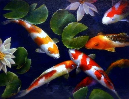 Fish Gatherings - animals, water, colorful, lovely, love four seasons, beautiful, fish, paintings, flowers