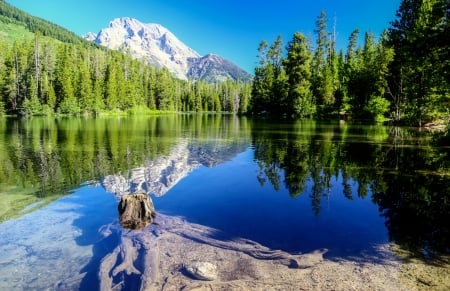 Mountain lake - peak, forest, cliffs, landscape, lake, sky, reflection, trees, mountain