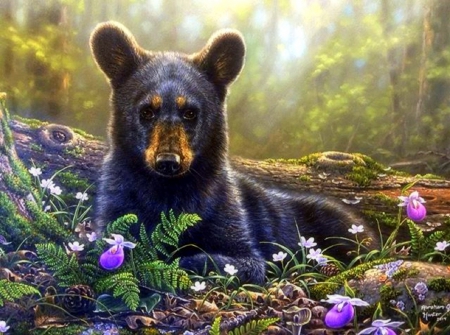 Curious Cub - paintings, cubs, spring, colors, lovely, bears, flowers, bear, forests, cute, love four seasons, animals