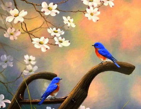 Song Birds in Spring