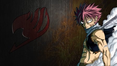 Natsu Dragneel - anime, fire, fairy tail, manga