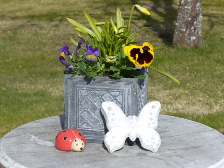 Happy Easter to everyone - easter, garden, pot, butterfly, flowers, table