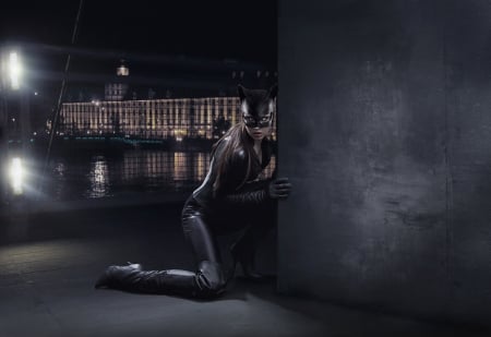 Catwoman - game, catwoman, girl, night, creative, black, fantasy, woman, situation