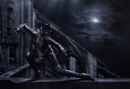 Catwoman - moon, woman, girl, night, fantasy, creative, black, dark, game, situation, catwoman, luna