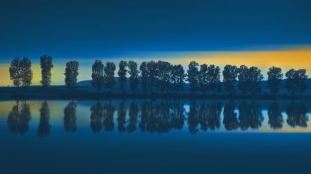 Fishing Lake - fishing, lake, tree, night