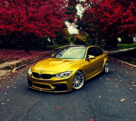 BMW3 - 3, lovely, bmw, gold