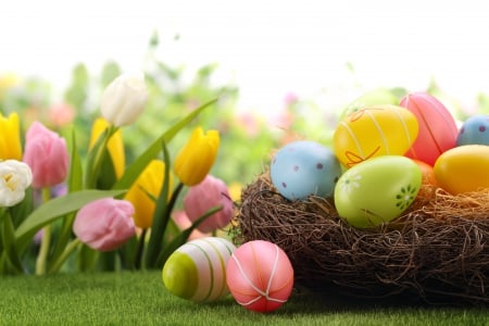 Easter and Spring Time - eggs, nest, tulips, easter, flowers, spring