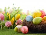 Easter and Spring Time