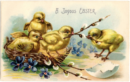 A Joyful Easter - blossoms, postcard, vintage, artwork, chicks