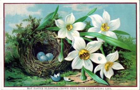 Easter Blessings - eggs, nest, blossoms, postcard, artwork, vintage, daffodils, flowers