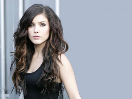 Sophia Bush - sophia bush, actress, beautiful, bush, 2015, wallpaper, sophia, model