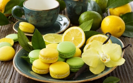 Macarons - lemon, orchid, photography, lime, macaron, plate, cup