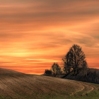 Great Nature