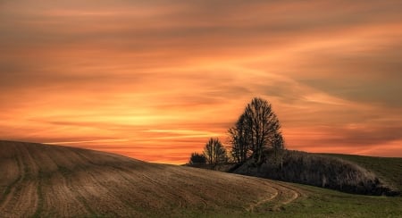 Great Nature - fields, great, nature, sunset