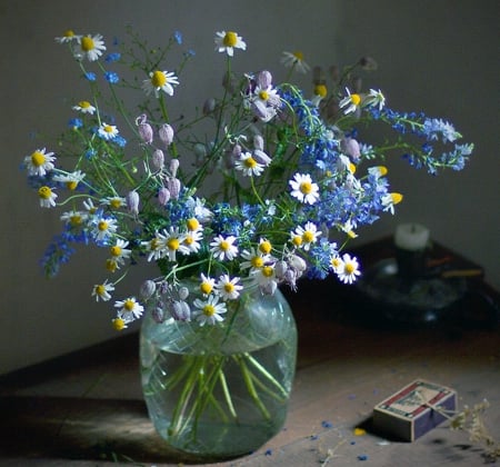 Still Life - white, flowers, still life, wild